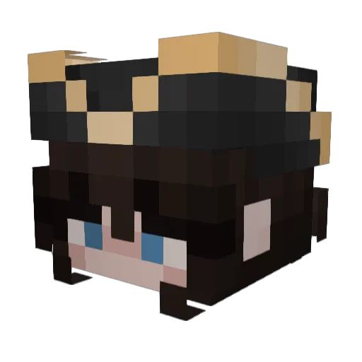 Ceilidh_ Minecraft avatar head, 3D render
