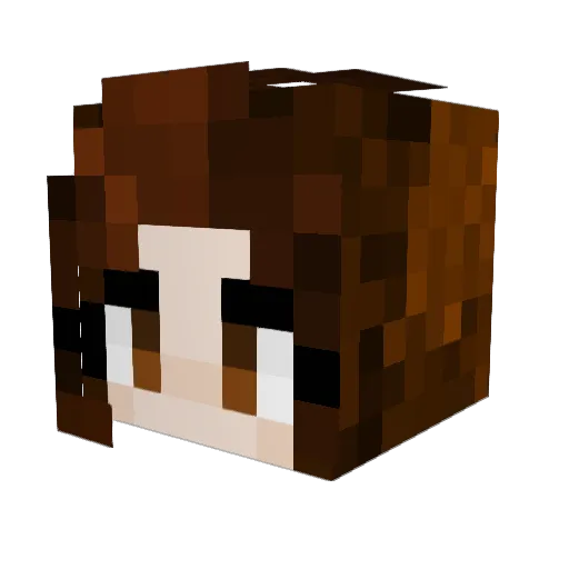 Ceilu Minecraft avatar head, 3D render