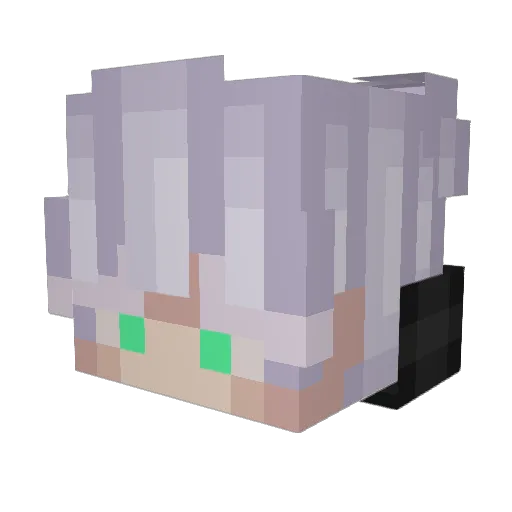 Ceisy Minecraft avatar head, 3D render