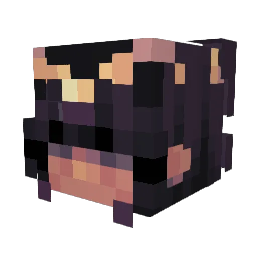 Cele1912 Minecraft avatar head, 3D render