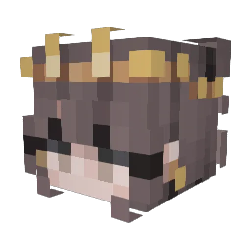 Celeanathetabby Minecraft avatar head, 3D render