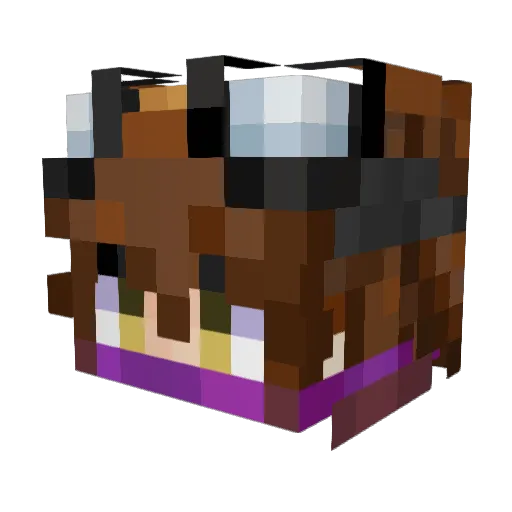 Minecraft-Avatar von Celer23: Kopf als 3D-Render
