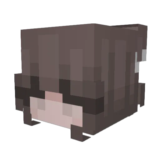 CelesDaniela Minecraft avatar head, 3D render