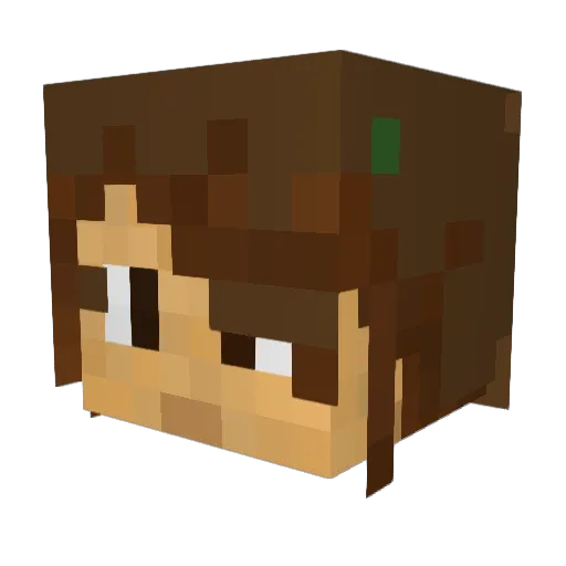 Celespocampe Minecraft avatar head, 3D render