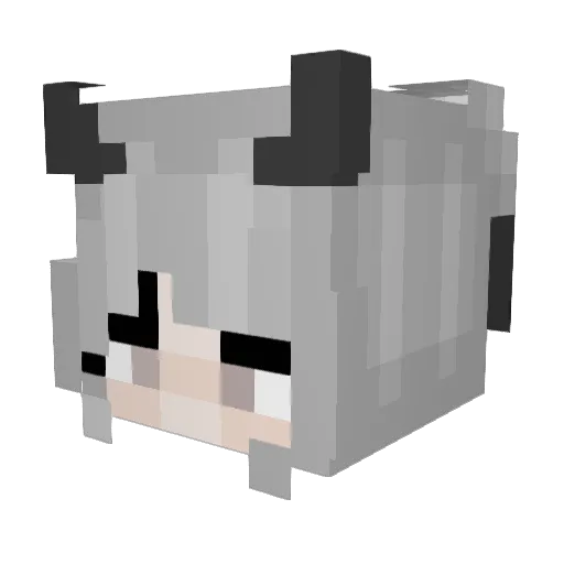 CelestialBruh Minecraft avatar head, 3D render
