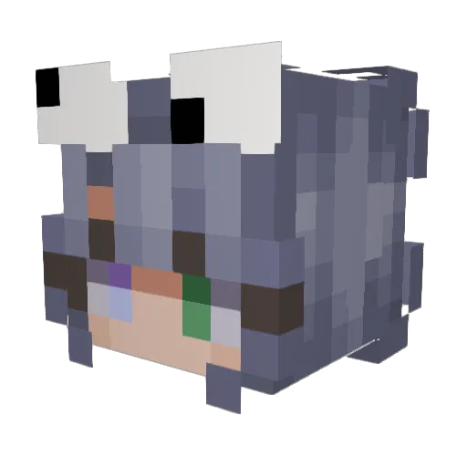 CelestialDragon6 Minecraft avatar head, 3D render
