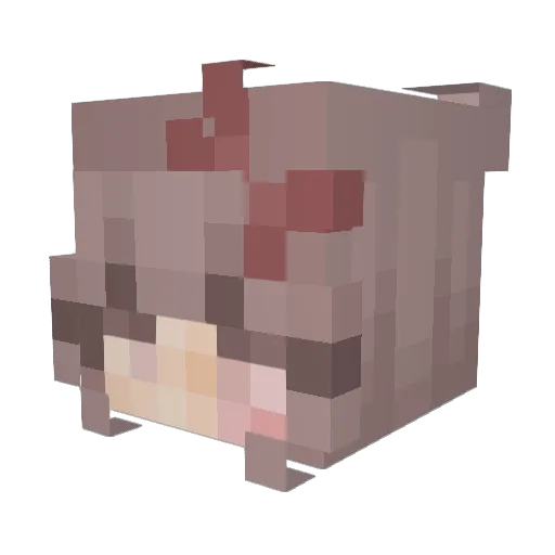 CelestialKoro Minecraft avatar head, 3D render