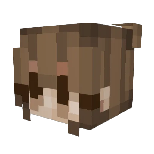 CelestialTide Minecraft avatar head, 3D render