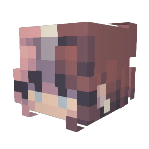 Celestialmoth1 Minecraft avatar head, 3D render