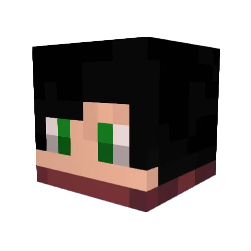 Celestine6 Minecraft avatar head, 3D render