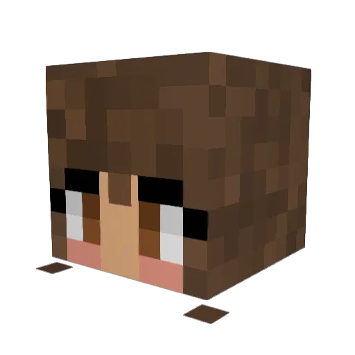 Celestx Minecraft avatar head, 3D render