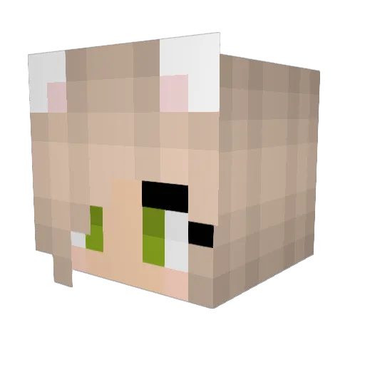 Celi_5 Minecraft avatar head, 3D render