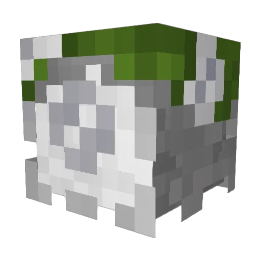 Cellgod1 Minecraft avatar head, 3D render