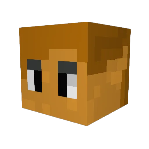 CelloSolo Minecraft avatar head, 3D render