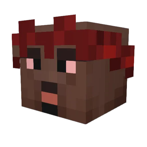 CeloPelo Minecraft avatar head, 3D render