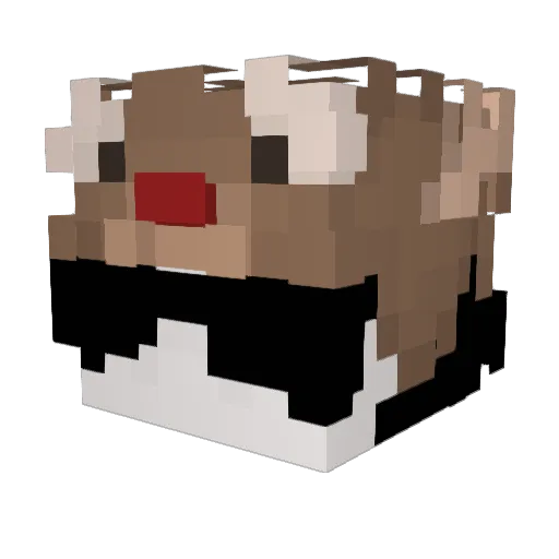 CeloTheEEE Minecraft avatar head, 3D render