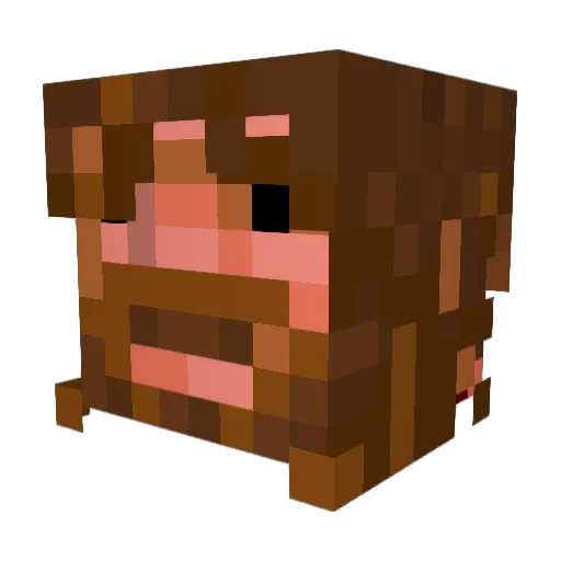 CelticOmen Minecraft avatar head, 3D render