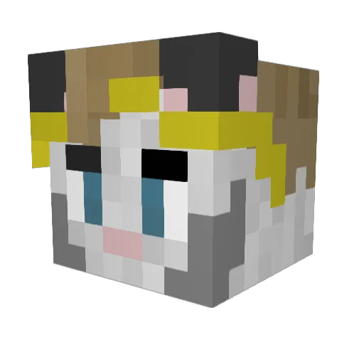 Celtic_Commando Minecraft avatar head, 3D render