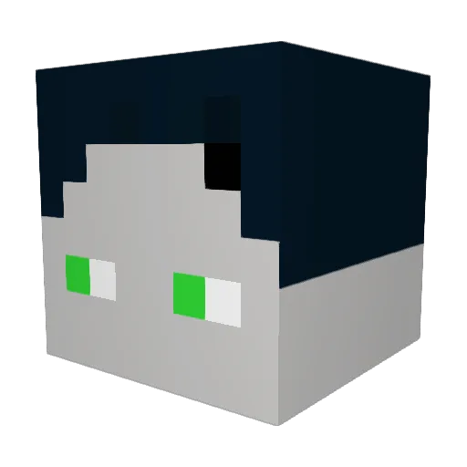 CemilAK2020 Minecraft avatar head, 3D render
