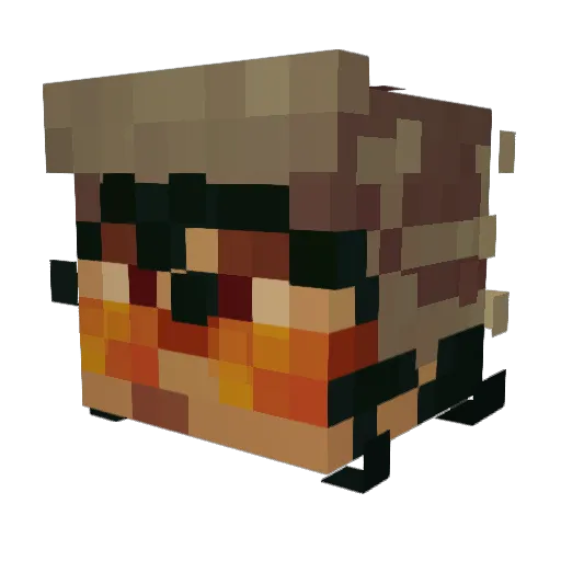 Cencory11 Minecraft avatar head, 3D render