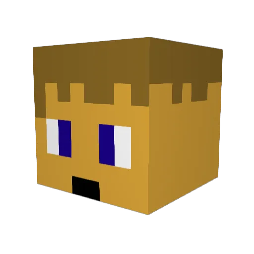 Cenek_201 Minecraft avatar head, 3D render