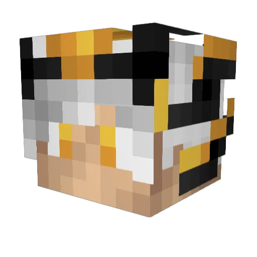 Cenk0 Minecraft avatar head, 3D render