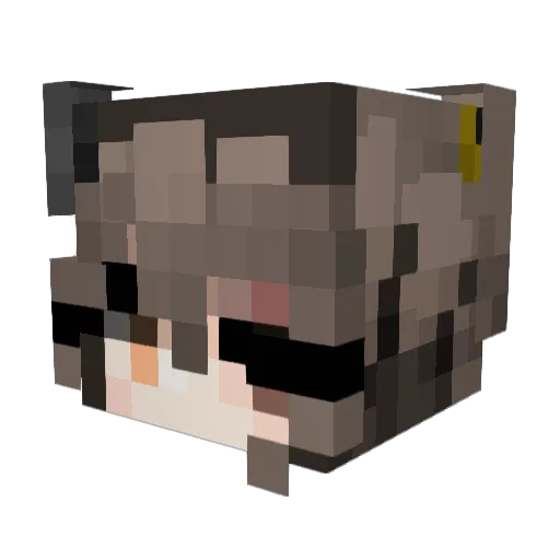 Cenko45 Minecraft avatar head, 3D render