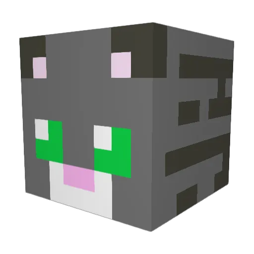 Cenn73 Minecraft avatar head, 3D render