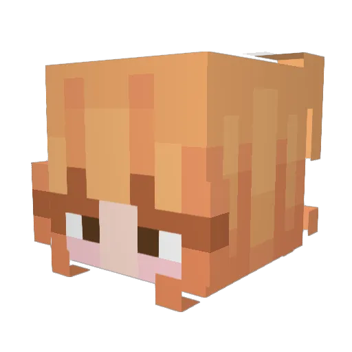 Cenoura__ Minecraft avatar head, 3D render