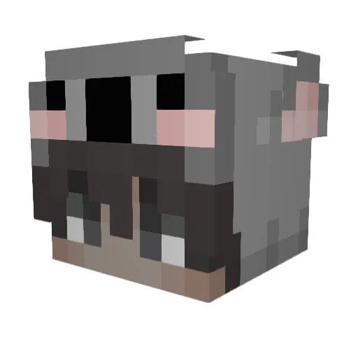 Cenoura_jr Minecraft avatar head, 3D render