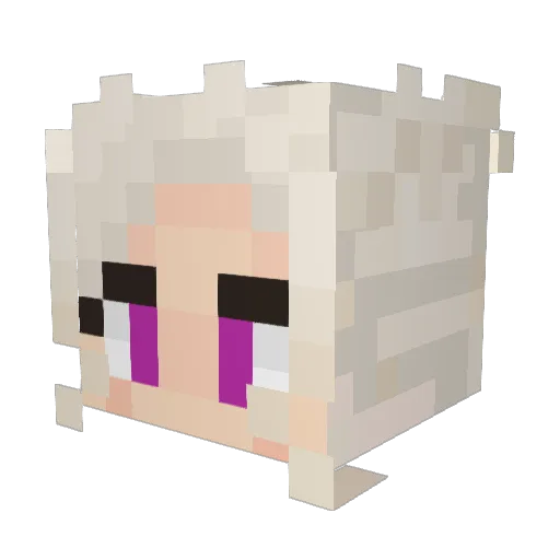 CensuredFreedum Minecraft avatar head, 3D render