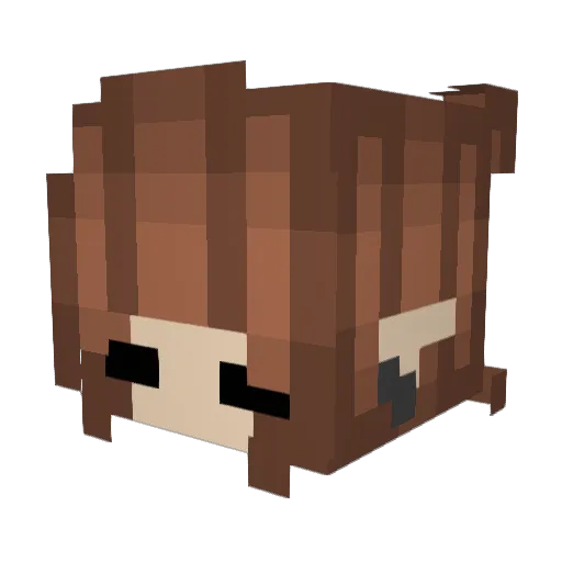 Centauri23 Minecraft avatar head, 3D render