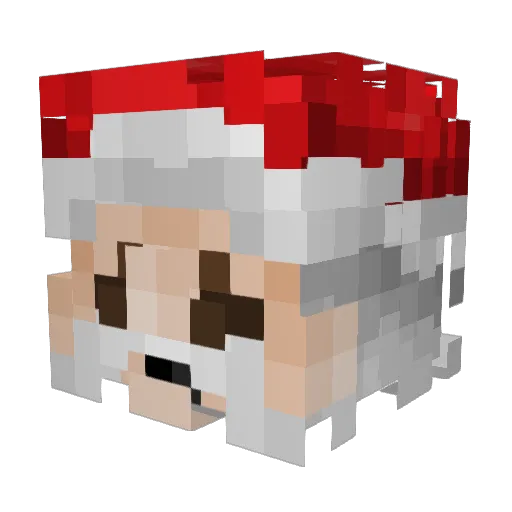 Centipede11 Minecraft avatar head, 3D render