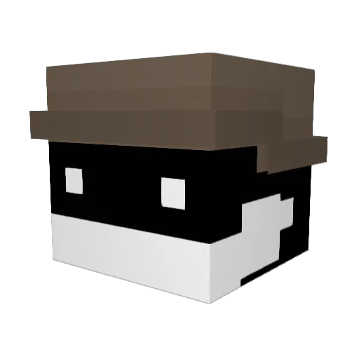 Cephalopod_sd Minecraft avatar head, 3D render