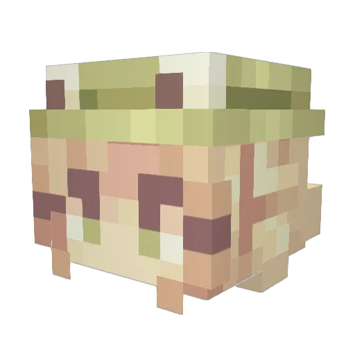 Cephelia Minecraft avatar head, 3D render