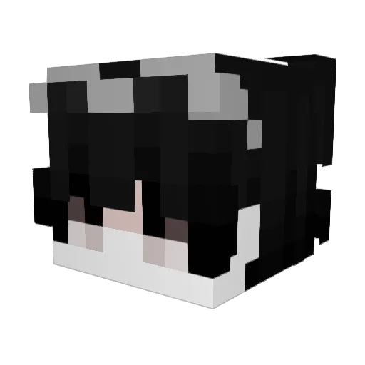 CepheusVA Minecraft avatar head, 3D render