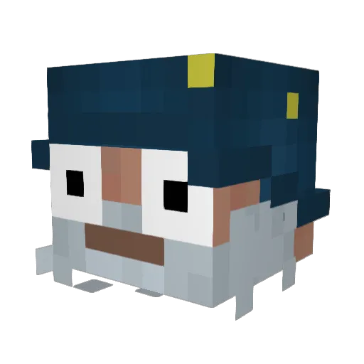 CerealIsYuM Minecraft avatar head, 3D render