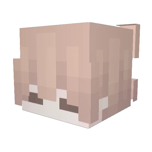 Cereal_HEMI Minecraft avatar head, 3D render