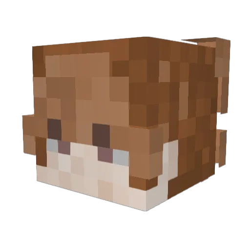 CerenAFK Minecraft avatar head, 3D render