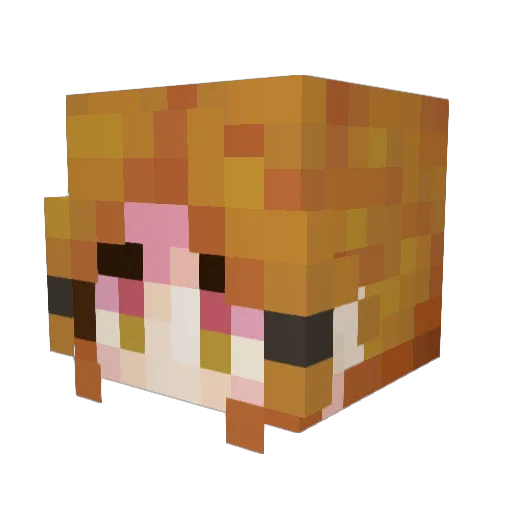 Ceresey Minecraft avatar head, 3D render