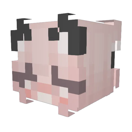 CeriseQueen Minecraft avatar head, 3D render