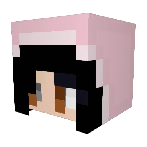 CertifiedMunch1 Minecraft avatar head, 3D render
