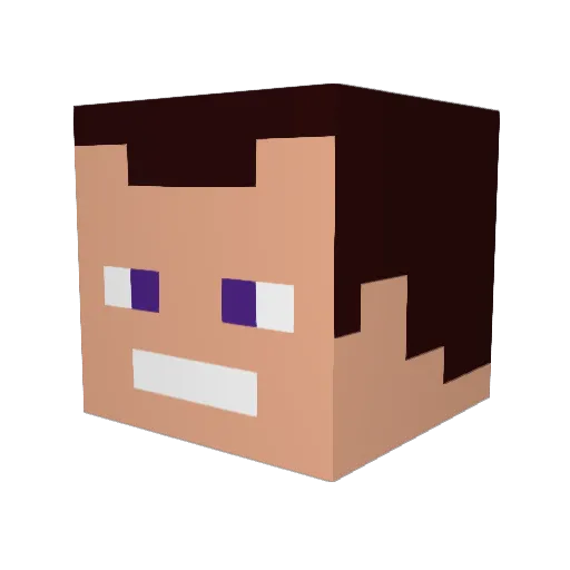 Certis61 Minecraft avatar head, 3D render