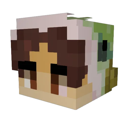 CeruleanCarp Minecraft avatar head, 3D render