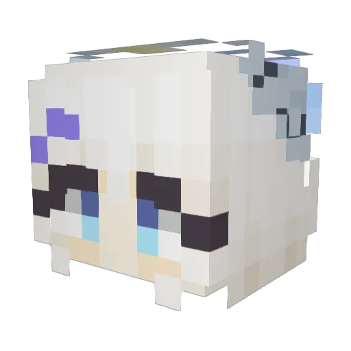 Cervan_1017 Minecraft avatar head, 3D render