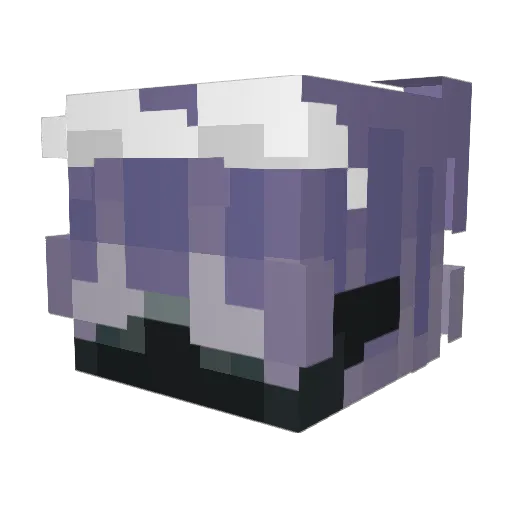 Cesaar213 Minecraft avatar head, 3D render