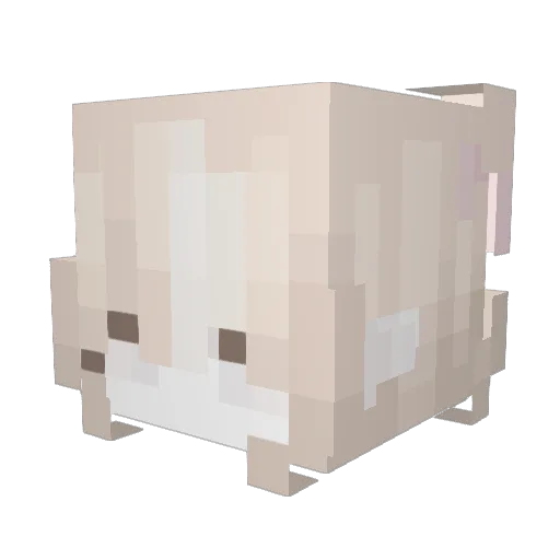 CesarRoiDuMonde Minecraft avatar head, 3D render