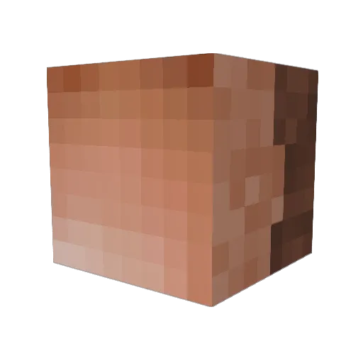 Cesco58 Minecraft avatar head, 3D render