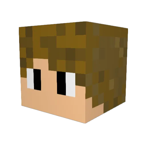 Cesman62 Minecraft avatar head, 3D render