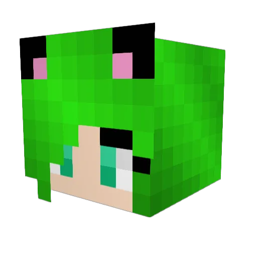 Cessadilla Minecraft avatar head, 3D render